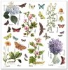 Zestaw papierów do scrapbookingu - Herbarium